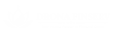 drona finserv white logo